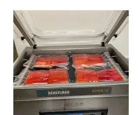 Vente machine sous vide à Changé
